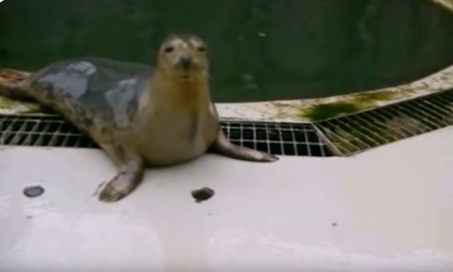 Αυτό είναι το νέο βίντεο που κάνει το γύρο του Διαδικτύου