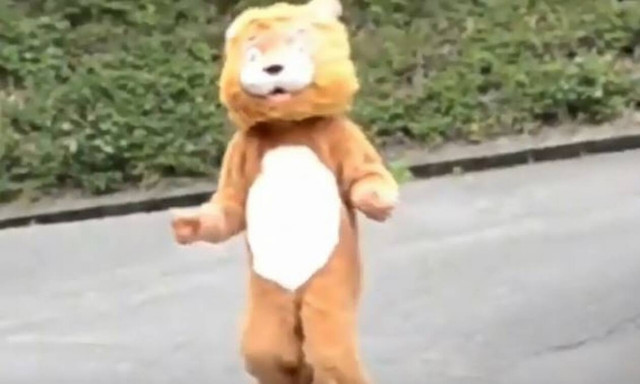 Το λιονταράκι το έσκασε: Η απίστευτη άσκηση ετοιμότητας σε ζωολογικό κήπο που έγινε viral