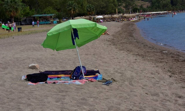 Συναγερμός: Το θαλάσσιο πλάσμα που τρομοκρατεί τη Μεσόγειο - Επτά τραυματίες