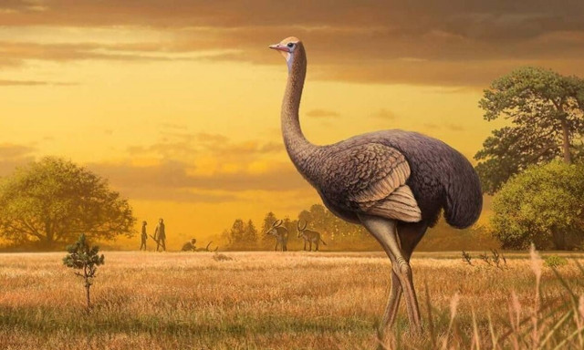 Απρόσμενη ανακάλυψη σε σπήλαιο της Κριμαίας: Βρέθηκαν απολιθώματα γιγάντιων πουλιών