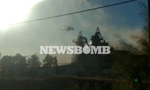 Τραγωδία στη Φυλή: Αυτός είναι ο άνδρας που έχασε τη ζωή του