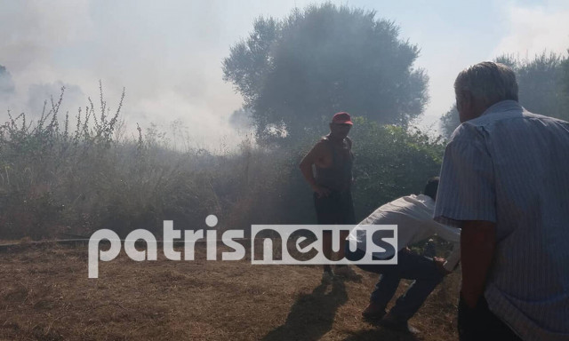 Φωτιά στην Ηλεία