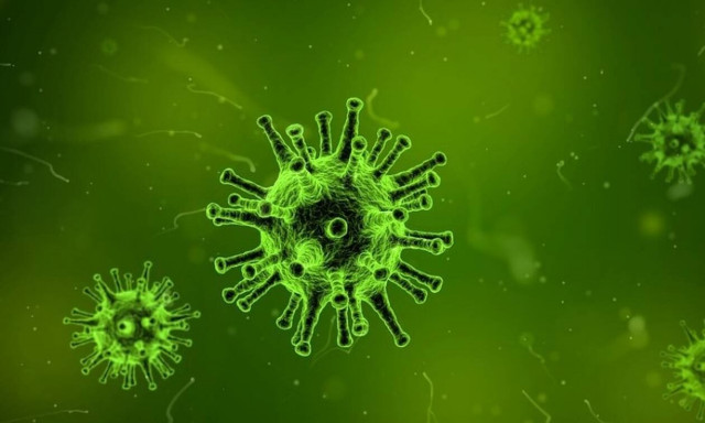 Συναγερμός για άγνωστη ιογενή ασθένεια στη Βολιβία