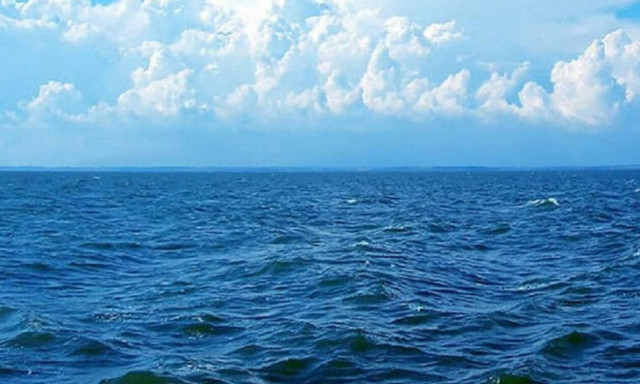 Αυτό το ψάρι είναι ο φόβος και ο τρόμος των ελληνικών θαλασσών