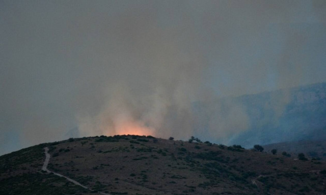 Φωτιά ΤΩΡΑ: Πύρινη κόλαση στην Εύβοια - Ολονύχτια μάχη με τις φλόγες (pics+vids)