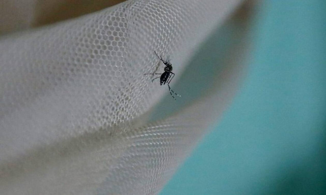 Σε κατάσταση επιφυλακής οι υπηρεσίες Δημόσιας Υγείας για τον ιό του Δυτικού Νείλου