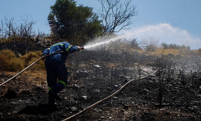 Φωτιά στη Φυλή κοντά στο γήπεδο του Θρασύβουλου