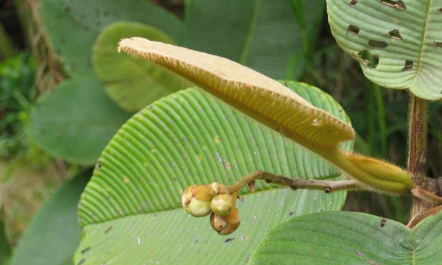 Η εφιαλτική είδηση που έκανε τον πλανήτη να ανατριχιάσει (Pics)