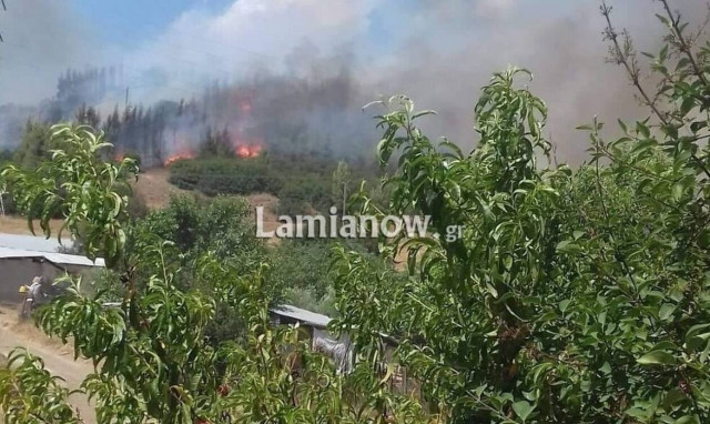 Φωτιά ΤΩΡΑ στη Φθιώτιδα: Σε δασική έκταση ανάμεσα στο Καστρί και την Γραμμένη (pics+vid)