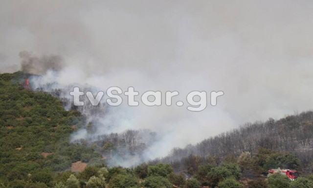 Φωτιά στη Φθιώτιδα: Καλύτερη η εικόνα της πυρκαγιάς (pics+vid)