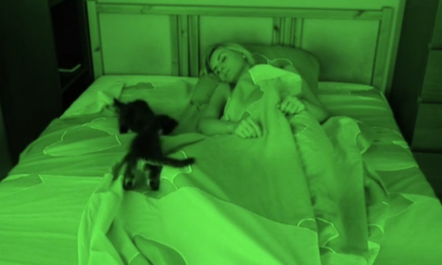 Εκείνη κοιμάται και δίπλα της γίνεται… ΧΑΜΟΣ! (vid)