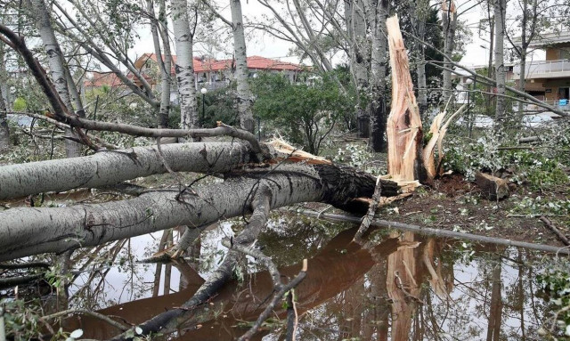Χαλκιδική - Χαρδαλιάς: Αγώνας δρόμου να αποκατασταθεί η ηλεκτροδότηση το επόμενο 24ωρο