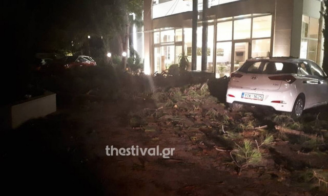 Νεκροί Χαλκιδική: Σοκάρουν οι εικόνες από το σημείο που σκοτώθηκαν πατέρας και γιος