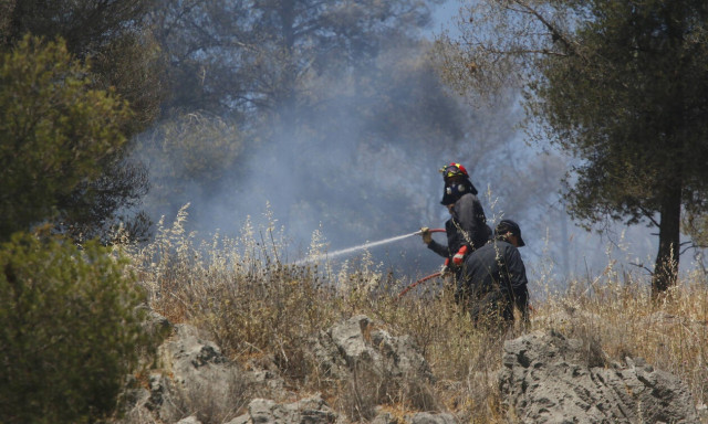 Φωτιά στην Χαλκιδική
