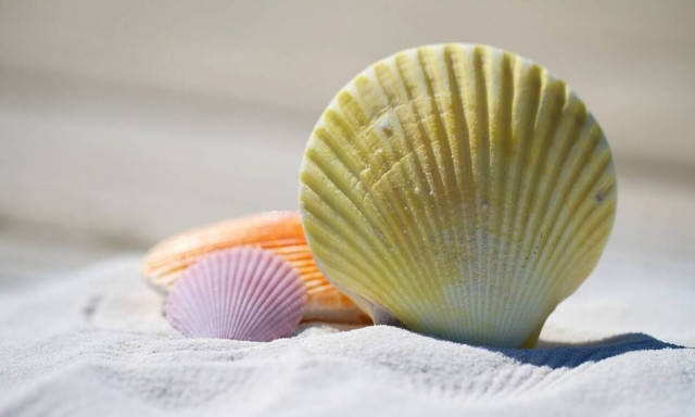 ΟΑΕΔ-Κοινωνικός Τουρισμός: Τέλος χρόνου για τις ενστάσεις 