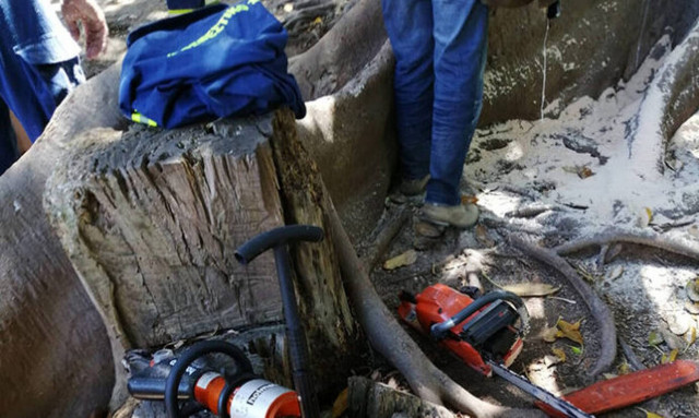 Αγωνία για αγοράκι στην Κρήτη: Σφήνωσε σε δέντρο - Τεράστια επιχείρηση της πυροσβεστικής