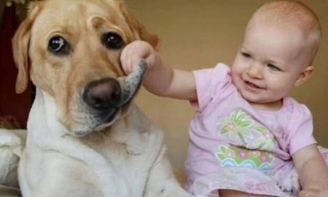 Μωράκι βλέπει κουτάβι και βγάζει πραγματικές κραυγές χαράς (vid)