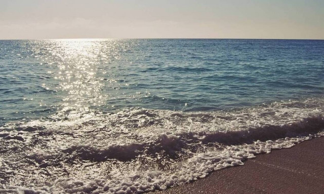 Φρίκη σε παραλία: Δεν πίστευαν στα μάτια τους με αυτό που είδαν – Ήταν όλες νεκρές… (pics)