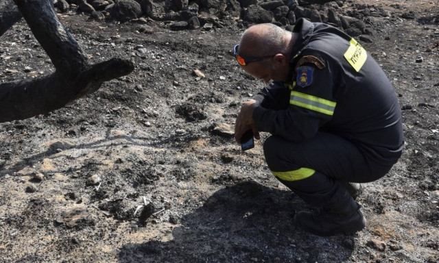 Μάτι: Το οικόπεδο της φρίκης - Εδώ που μαρτύρησαν 26 ψυχές