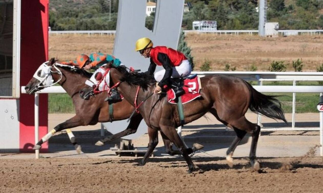 Markopoulo Park: Επτά κούρσες με 48 ίππους που υπόσχονται δυνατές συγκινήσεις