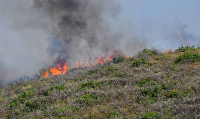 Φωτιά στην Αργολίδα: Κοντά σε μοναστήρι οι φλόγες (pics)