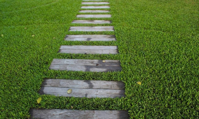 Θεσσαλονίκη: Κοίταξαν στον κήπο και τους κόπηκε η ανάσα (pics)