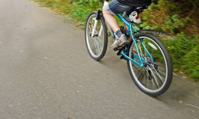 Χτύπησε με το αυτοκίνητο και απήγαγε γνωστή αθλήτρια - Πώς οι ορχιδέες της έσωσαν τη ζωή (pics)