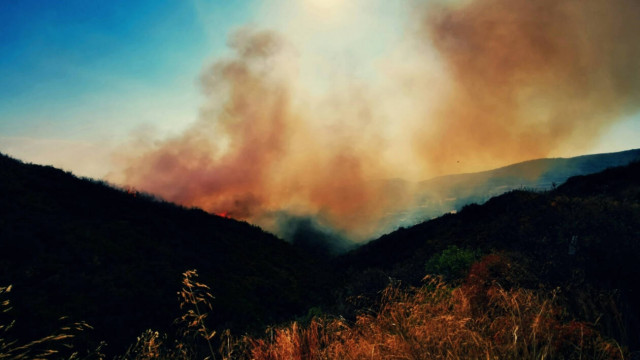 Φωτιά ΤΩΡΑ στο Δομοκό