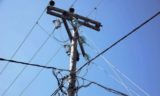 Αργολίδα: Κοίταξαν στην κολώνα της ΔΕΗ - Έπαθαν ΣΟΚ με αυτό που είδαν (pics)