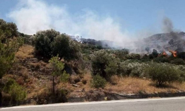 Φωτιά ΤΩΡΑ στην Κερατέα