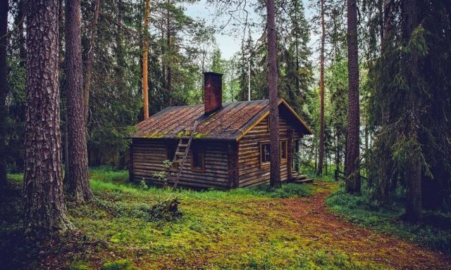 Εφιάλτης: Είδε αυτό μέσα στο σπίτι του - «Πάγωσε» όταν έμαθε τι ήταν