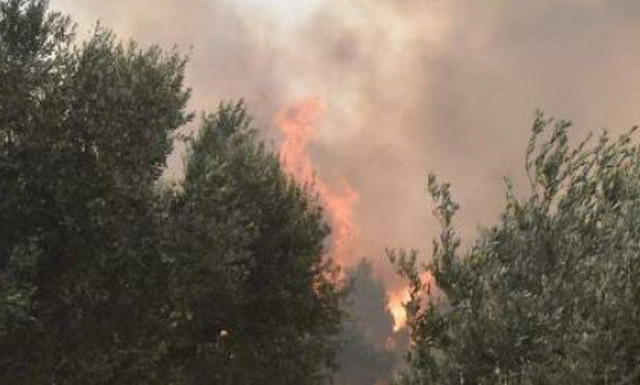 Αναστολή καταβολής οφειλών προς τις ΔΟΥ - Δείτε ποιους αφορά