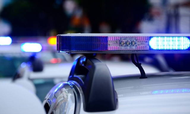 Αυτοί είναι οι νέοι τετράποδοι αστυνομικοί στην υπηρεσία ανίχνευσης εκρηκτικών