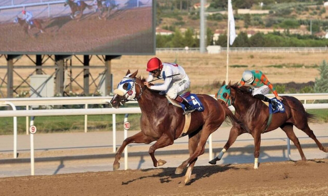 Markopoulo Park: Οι πέντε κορυφαίες ιπποδρομίες του Ιουλίου (vid)