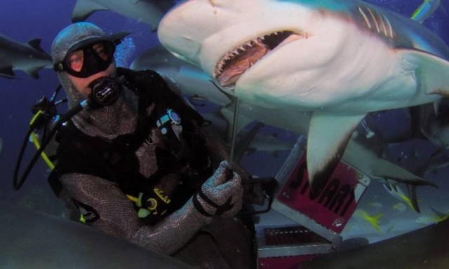 Είναι τρελός; Ταΐζει με το χέρι τεράστιο καρχαρία! (vid)