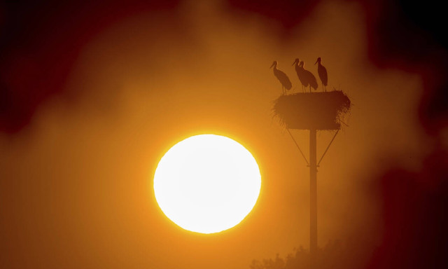 Very high temperatures in Greece from Thursday