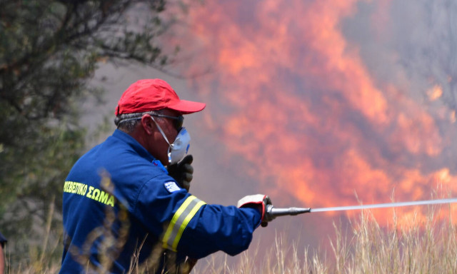 Φωτιά ΤΩΡΑ στην Ηλεία