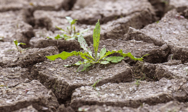 Έκθεση – σοκ: Ο πλανήτης κινδυνεύει – Η γη νοσεί