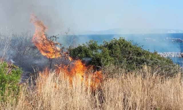 Φωτιά στην Κεφαλονιά (pics)