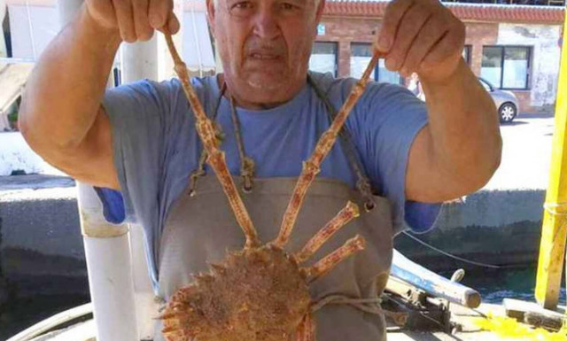 Κρήτη: Του πήρε 30 ολόκληρα χρόνια για να πιάσει ΑΥΤΟΝ τον κάβουρα!