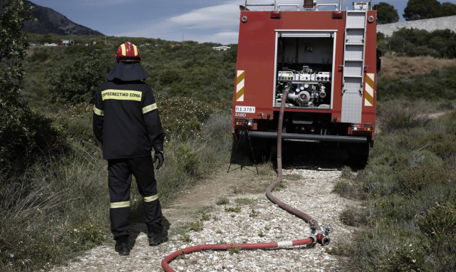 Fire Brigade Chief declares highest state alert against potential wildfires