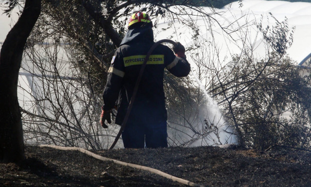 Φωτιά ΤΩΡΑ στην Αμφιλοχία