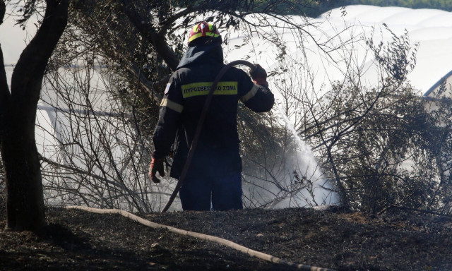 Συναγερμός στην Πυροσβεστική: Φωτιά ΤΩΡΑ και στην Ηλεία