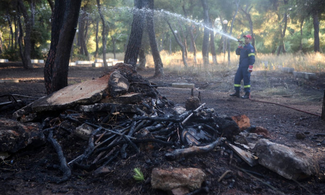 Πολύ υψηλός ο κίνδυνος πυρκαγιάς για σήμερα (13/8) - Δείτε σε ποιες περιοχές (χάρτης) 