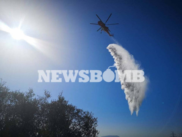 Πολύ υψηλός ο κίνδυνος πυρκαγιάς και την Τρίτη - Δείτε σε ποιες περιοχές (χάρτης)