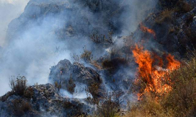 Φωτιά ΤΩΡΑ στα Καλάβρυτα