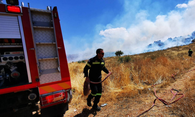 Φωτιά ΤΩΡΑ στην Ηλεία