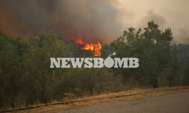 Φωτιά Εύβοια - Θρίλερ στο Μακρυμάλλη: Ηλικιωμένος δεν εγκαταλείπει το σπίτι του