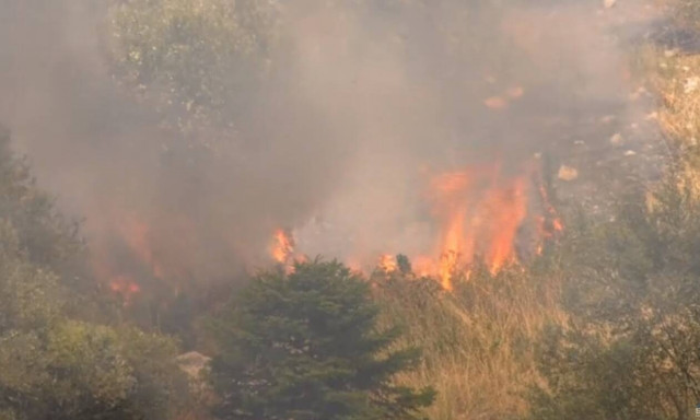 Φωτιά στη Θήβα: Ανεξέλεγκτο το μέτωπο - Κατευθύνεται προς τον Κορινθιακό κόλπο