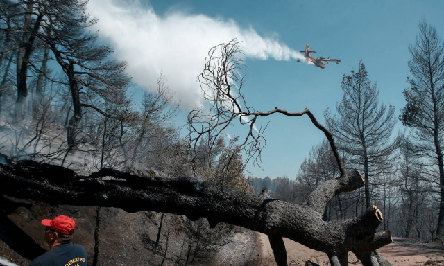 Φωτιά Εύβοια: Συνεχίζεται η μάχη με τις φλόγες - Ξεκίνησαν τα εναέρια μέσα